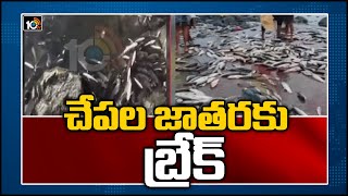 చేపల జాతరకు బ్రేక్ | Parvathi Barrage Gates Lifted | Peddapalli District | 10TV News