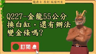 【龍爵士】千問千答 Q227 金龍55公分換白缸還有辦法變金條嗎