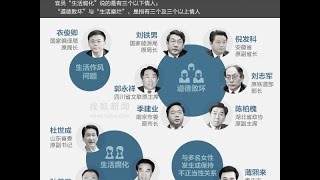 《石濤評述》中紀委討論高官淫亂問題 王岐山兩問〝怎麼辦〞（2015/06/19）