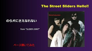 【Bass Cover】 のら犬にさえなれない / The Street Sliders