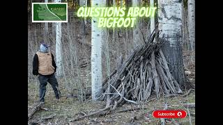 The Surprising Truth About BIGFOOT Nobody Tells You