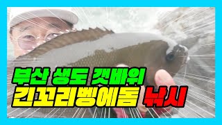 ep.223 부산 생도 갯바위 긴꼬리벵에돔 낚시