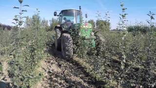 De boomkwekerij: Onkruidbestrijding tussen jonge fruitbomen