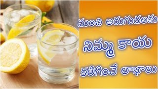 best Health tips with lemon || మంచి అరుగుదలకు నిమ్మ కాయ కలిగించే లాభాలు