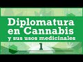 Clase 1 - Diplo Cannabis Medicinal