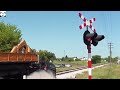 tragic 30 horrifying moments of animals colliding with trains part1 2 3 4