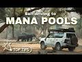 Self-Driving to Mana Pools – Everything You Need to Know Before You Go!