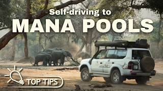 Self-driving to MANA POOLS - Everything you need to know!