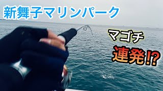 【新舞子マリンパーク】釣れたポイントに再び投げると.....!?