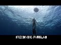 Diving into Paradise: Exploring the Freediver's Haven of Panglao, Philippines