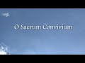 O Sacrum Convivium (Virtual Choir) - Danny Linders