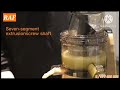 ម៉ាស៊ីនគៀបទឹកផ្លែឈើ raf slow juicer model 2838