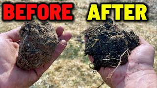 3 Easy Ways to Fix ANY Soil (And Destroy Toxins)