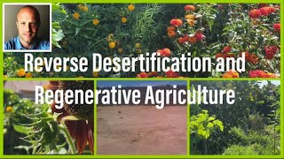 Reverse Desertification In the Sonoran Desert with Chaos Gardening and Mycorrhizal Fungi (syntropic)