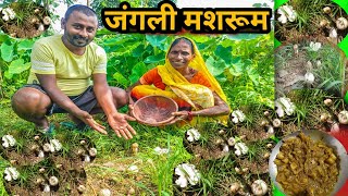 देसी जंगली मशरूम मिला || गांव का स्वादिष्ट देसी  Mushroom Gravy Recipe Cooking With Indian #Vlogs