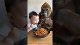 Baby and gorilla share fried noodles. #cute #lovely #love #gorilla #baby #animals#shorts