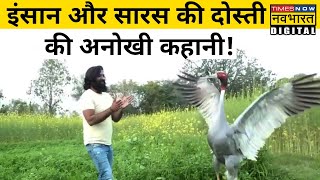 Viral News: दिल जीत लेगी Amethi के Aarif और Sarus crane की दोस्ती की कहानी!