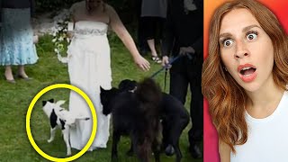 AWFUL Wedding Fails Caught On Camera - REACTION