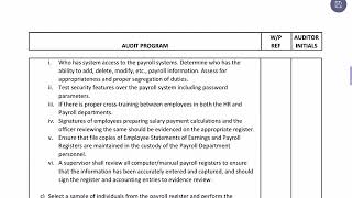 Audit programme example