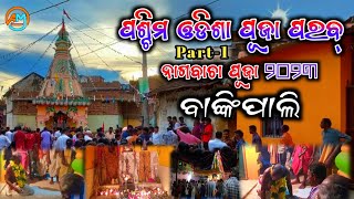 Nagabacha puja 2023 Bankipali || ପଶ୍ଚିମ୍ ଓଡିଶାର୍ ପୂଜା ପରବ୍ || ନାଗବାଚା ପୂଜା ବାଙ୍କିପାଲି ୨୦୨୩