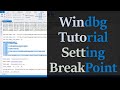 Windbg tutorial - Setting a native breakpoint