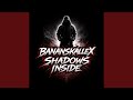 Shadows inside