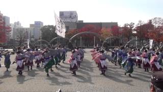 「皇學館大学　雅」四日市よさこい2013　市民公園