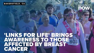 Vice Mayor of Bakersfield declares October as 'Paint the Town Pink Month' at local event