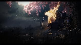 How I'd Play Nioh 2 From The Start! | NG+4 - Dream of the Nioh | Region 5+