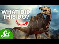 7 Dinosaur Mysteries We Haven't Fully Figured Out