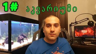 GI2GI AQUARIUM 1# ჩემი აკვარიუმის მიმოხილვა