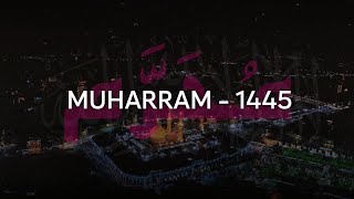 Muharram Qawwali status | Muharram Status | Muharram 1445 #muharram #shorts #short #yahussain #kgn