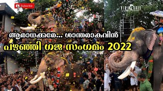 പഴഞ്ഞി പെരുന്നാൾ ഗജ സംഗമം 2022 | Pazhanji Palliperunal Gaja sangamam 2022