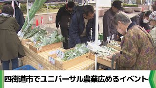 誰もが参加できる「ユニバーサル農業」への理解深めて　四街道市で農業イベント（2024.11.16放送）