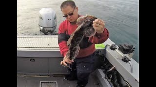 Hewescraft Searunner, Half Moon Bay, Five Lingcod, Limits Plus One 12/23/17