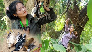 สาวดอย ล่าสัตว์โดยใช้สายพลาสติก Hunting using plastic lines