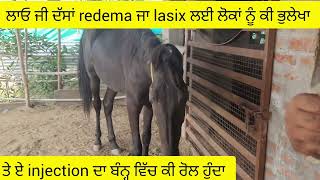 ਲਾਓ ਜੀ ਦੱਸਾਂ redema ਜਾ lasix ਲਈ ਲੋਕਾਂ ਨੂੰ ਕੀ ਭੁਲੇਖਾ ਤੇ ਏ injection ਦਾ ਬੰਨ੍ਹ ਵਿੱਚ ਕੀ ਰੋਲ ਹੁੰਦਾ