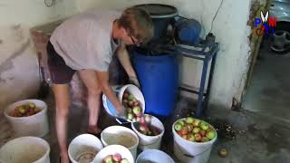 Shredding Apples (part I)