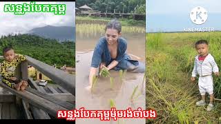 #សន្ទូងបែកគុម្ព ម៉ុមនឹកបងណាស់😂😂