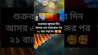 শুক্রবার জুম্মার দিন আসর এর নামাজের পর ২১ বার পড়বেন #allahuakbar #islamicvideo #viral #learn #short