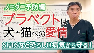 【ブラベクト】 獣医師が語る予防の大切さ！SFTSなど感染症を未然に防ぐ！【ノミダニ予防編】