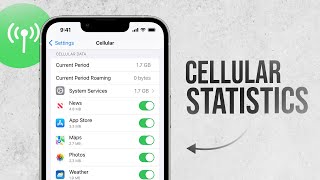 What Is Cellular Usage Statistics on iPhone (explained)