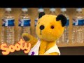 Get #Healthy with Sooty and Sweep! 💪 | The Sooty Show