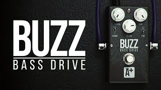 A+ BUZZ Bass Drive + Kramer 450B Bass