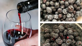 Homemade fruit wine, make wine with no sugar, no yeast, no chemicals