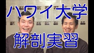 【ハワイ解剖実習】情報シェアします！