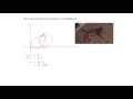 Parametric Equations for a Cycloid Curve