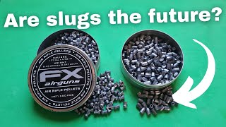 FX air rifle pellets vs Mako slugs range testing with the Anschutz 9015