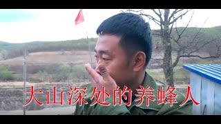 2022 第158期 大山深处的一家养蜂人，过着与世隔绝的生活，这样的环境你喜欢吗