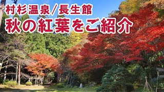 【風雅の宿長生館】秋の紅葉と新型コロナウイルス対策